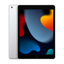 Apple iPad 10.2 2021 9th WiFi Celular A13 Bionic 64GB Prateado - MK493TY/A