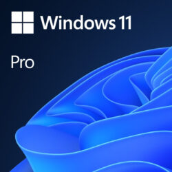 Microsoft WINDOWS 11 PRO 64Bit PT Oem