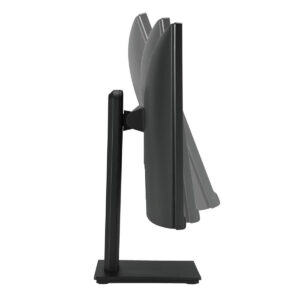 Monitor Profissional Ultrapanorámico Asus VP299CL 29 Full HD Multimédia Preto