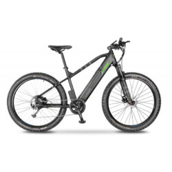Bicicleta Argento e-bike Prformance+ Verde