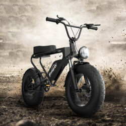 Bicicleta Freego Dk200 Motor 1200w Fat Tire Wild Off-Road Snow 48V 20Ah
