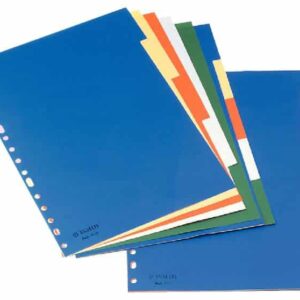 Separadores Plástico A4 10 folhas 5 Cores Preto